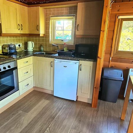 Cosy Log Cabin In Snowdonia 9 Trawsfynydd Dış mekan fotoğraf